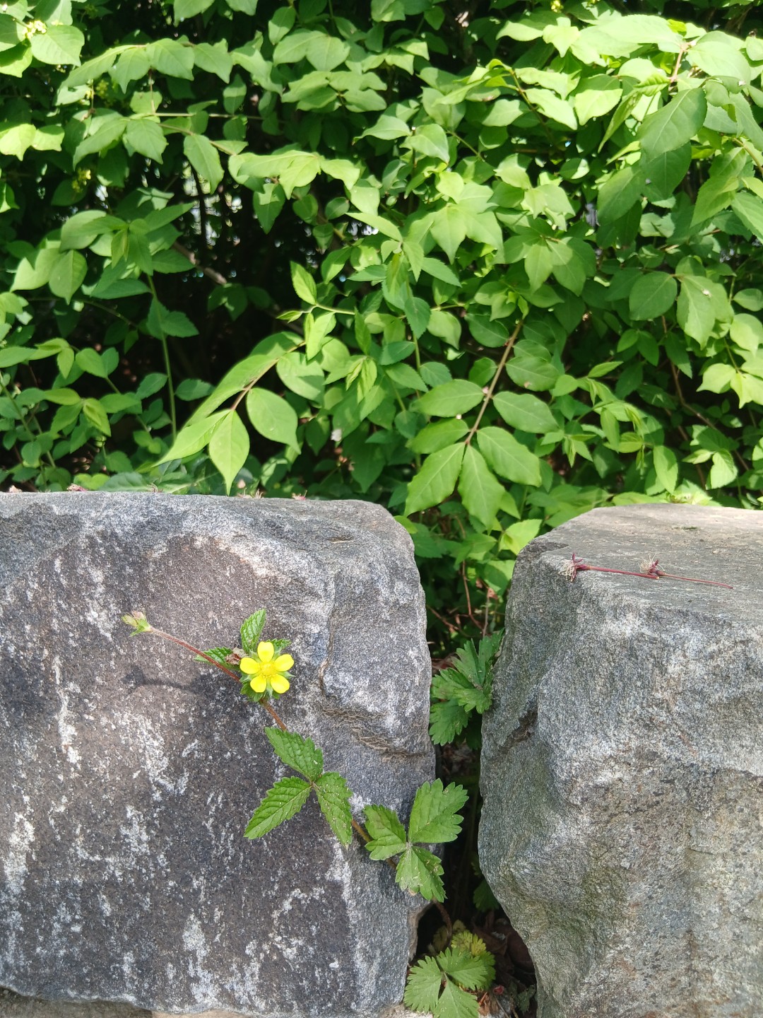 Post image 10
