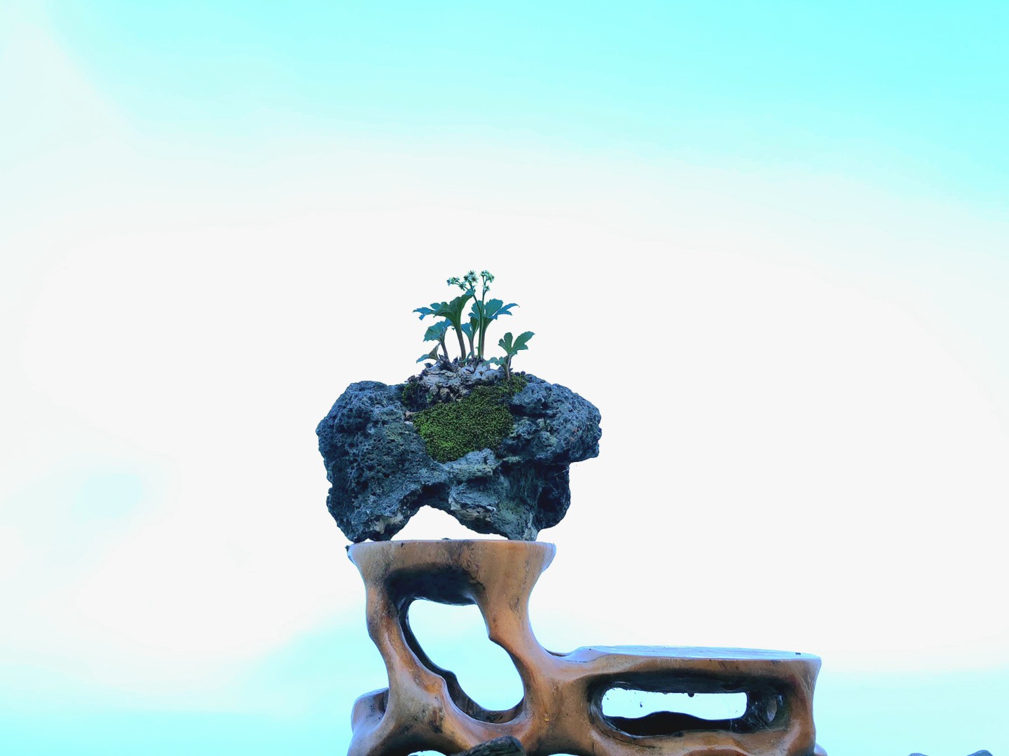 Post image 3