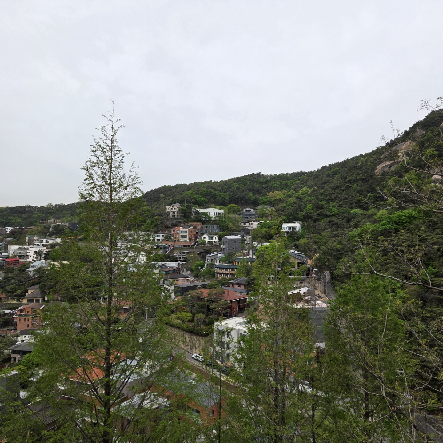 Post image 8