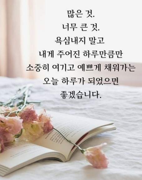 아침인사 💐