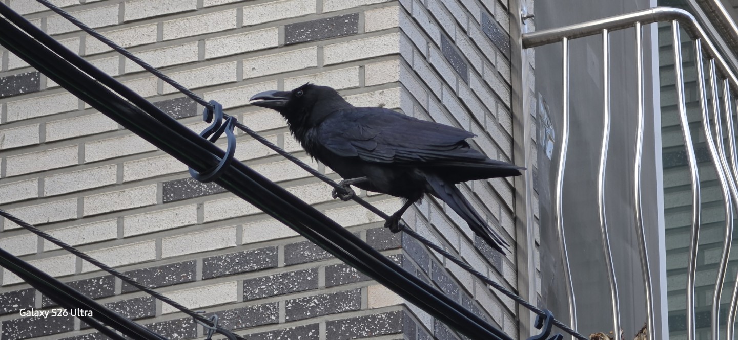 Post image 10