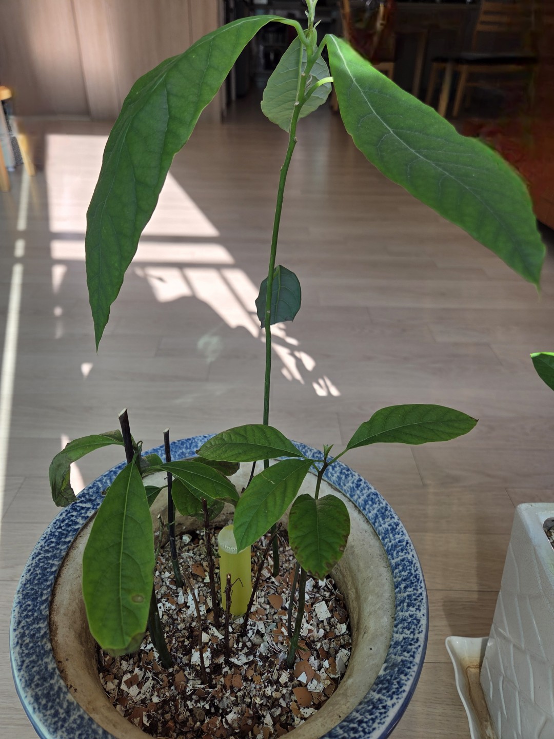 Post image 16