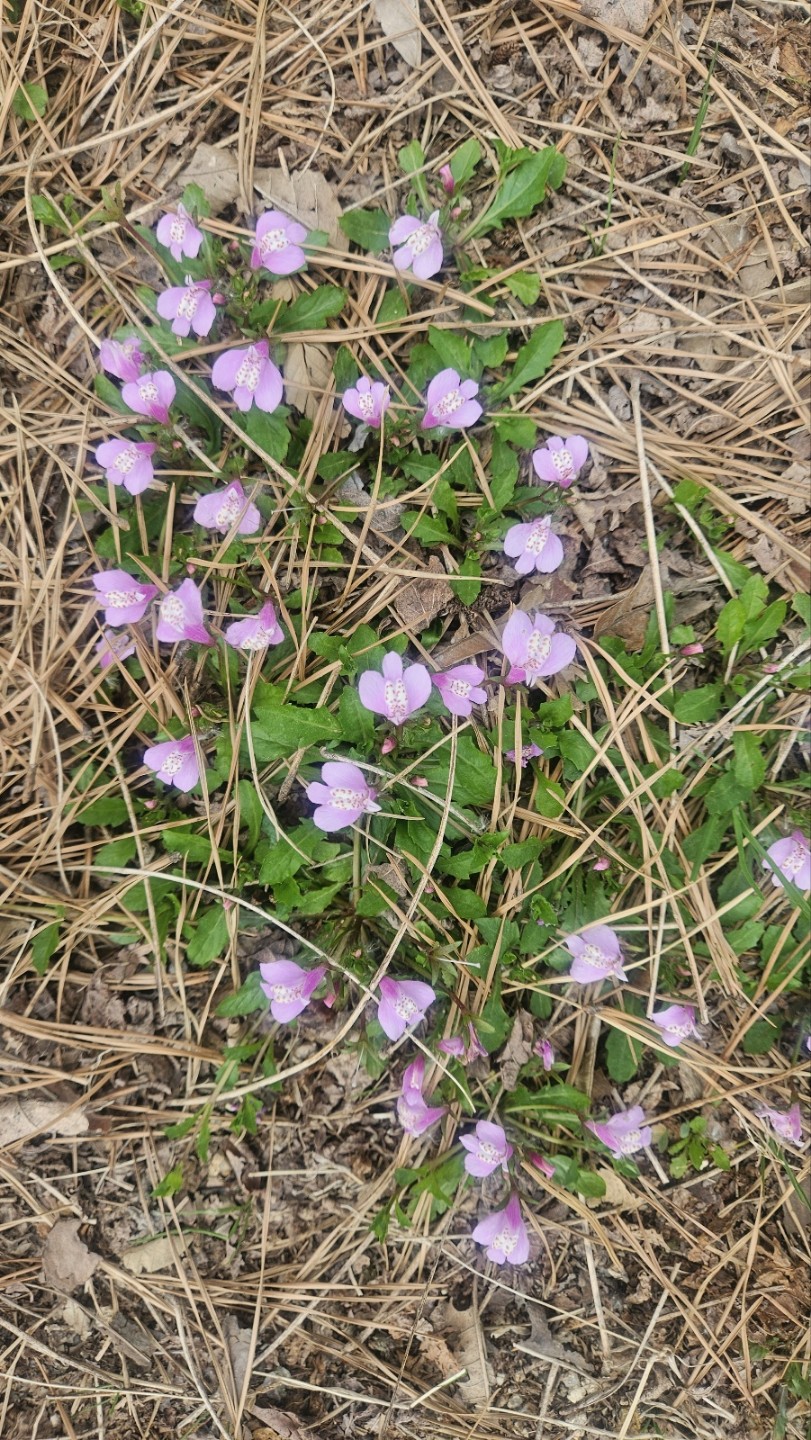 Post image 7