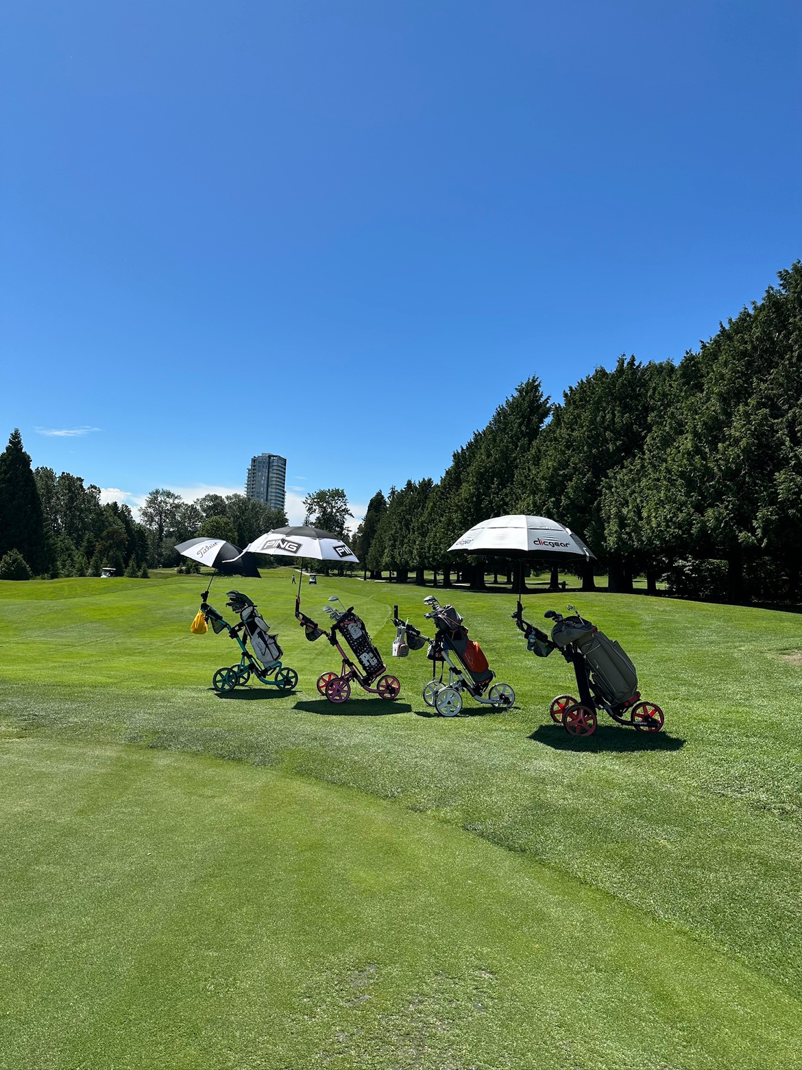 밴쿠버 골프 여행 하시고픈 분 정보 드릴게요. 🍁