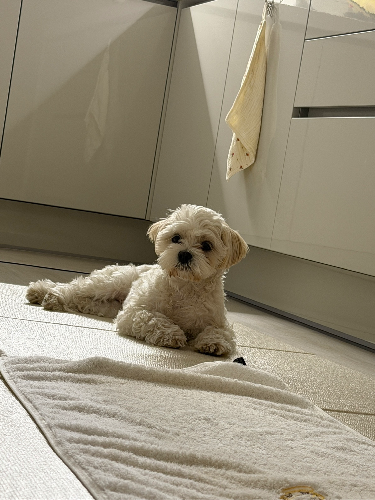 마장이의 일상을 공개!