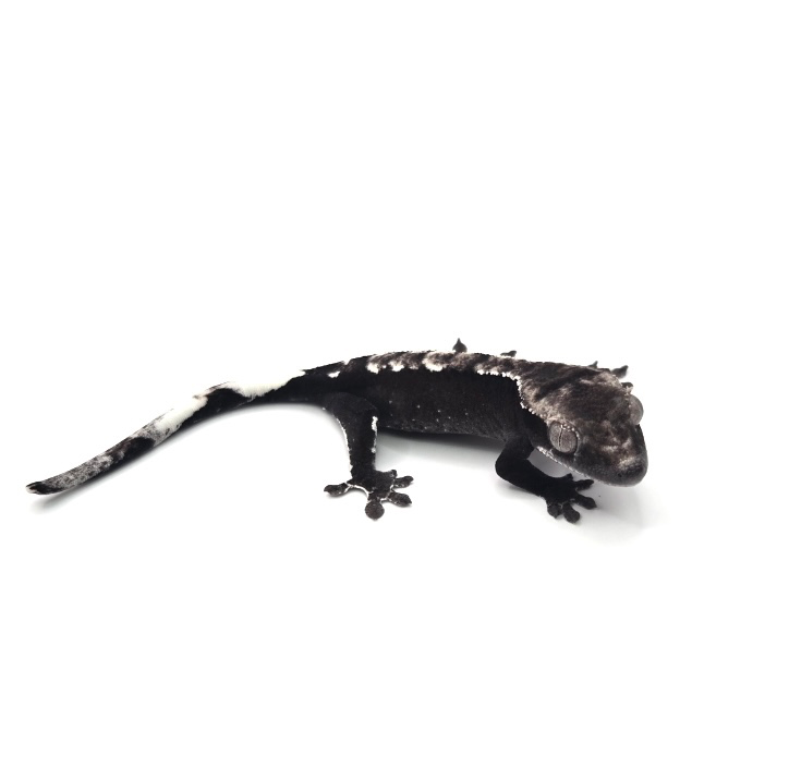 Post image 3