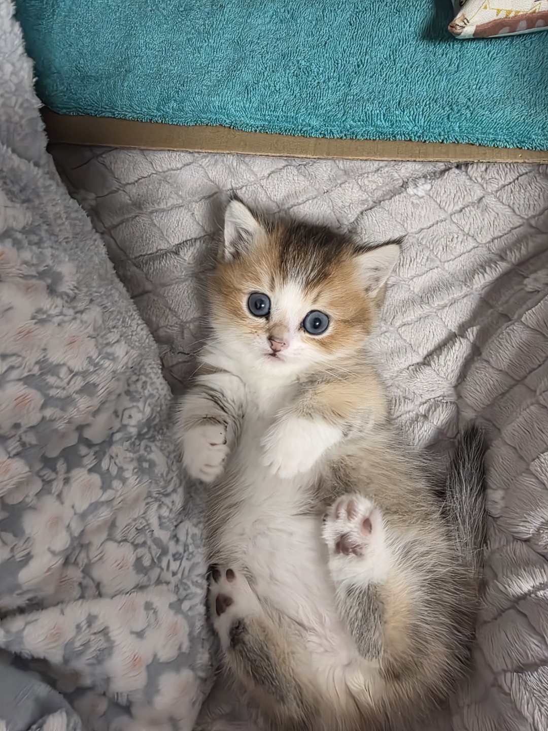 먼지입니다 3개월차에요