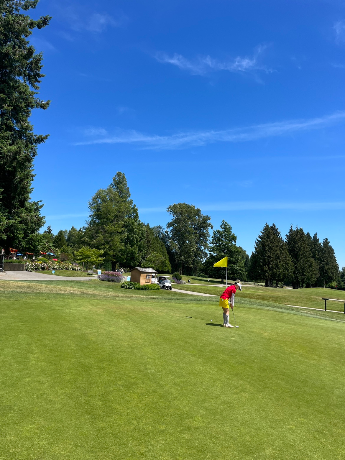 밴쿠버 골프 여행 하시고픈 분 정보 드릴게요. 🍁