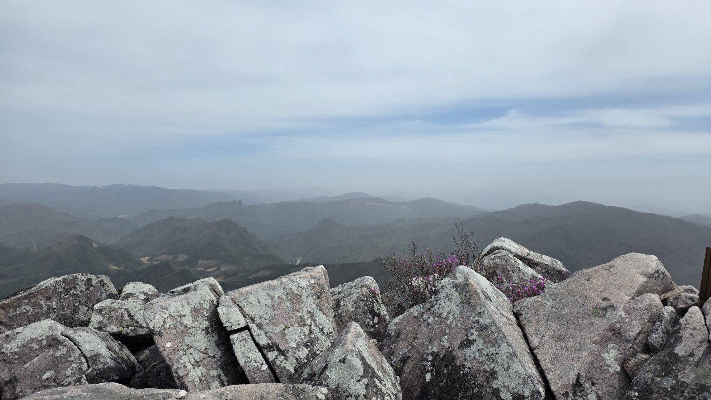 Post image 15