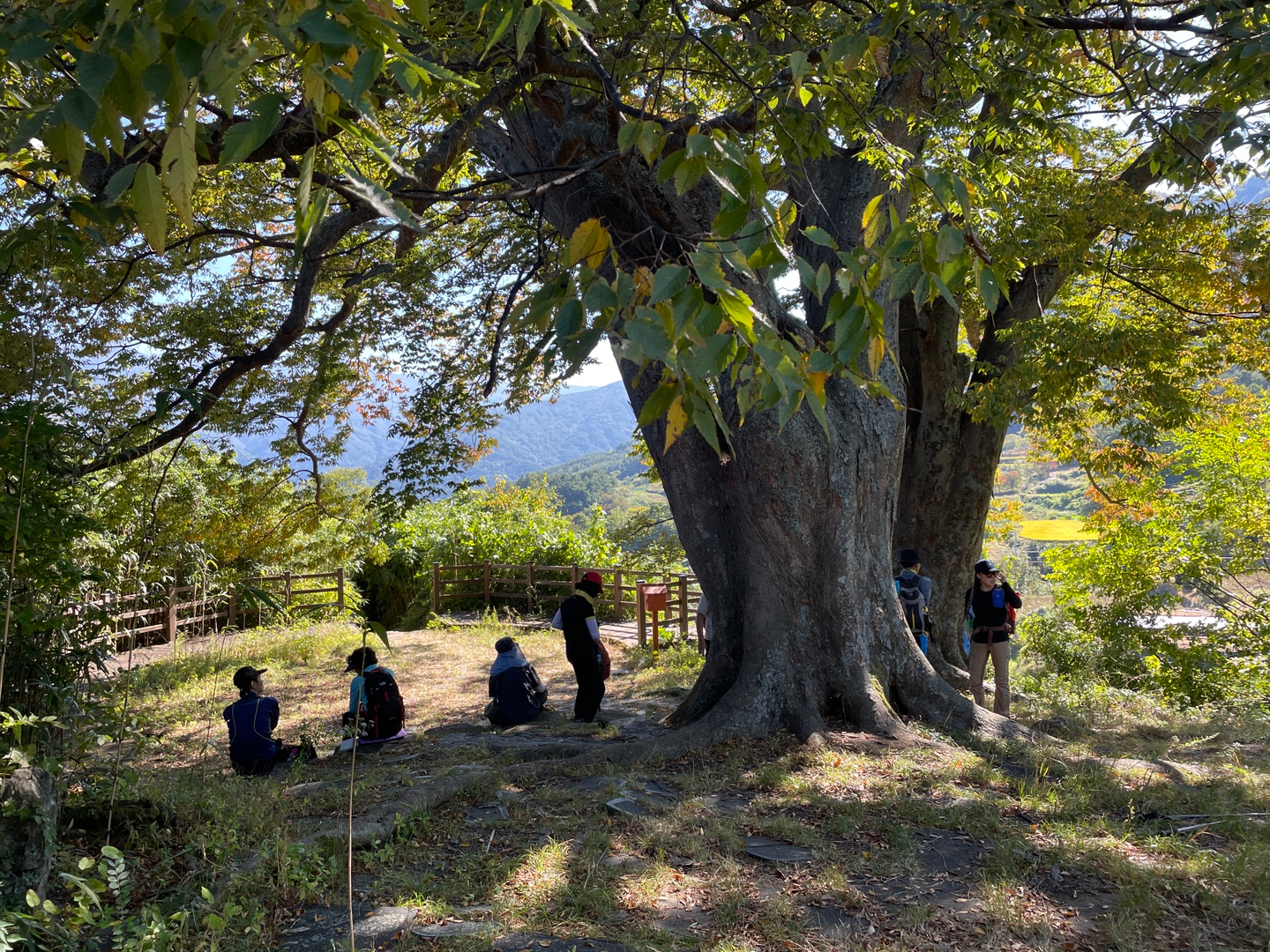 부모님 용돈, 어느 정도가 적당할까요?