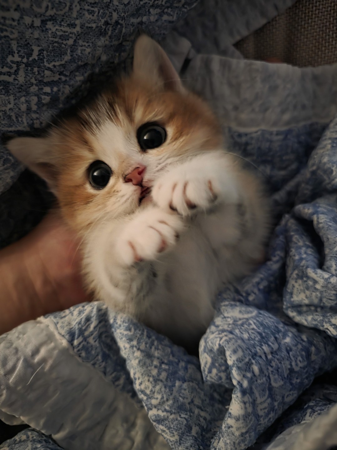 먼지입니다 3개월차에요