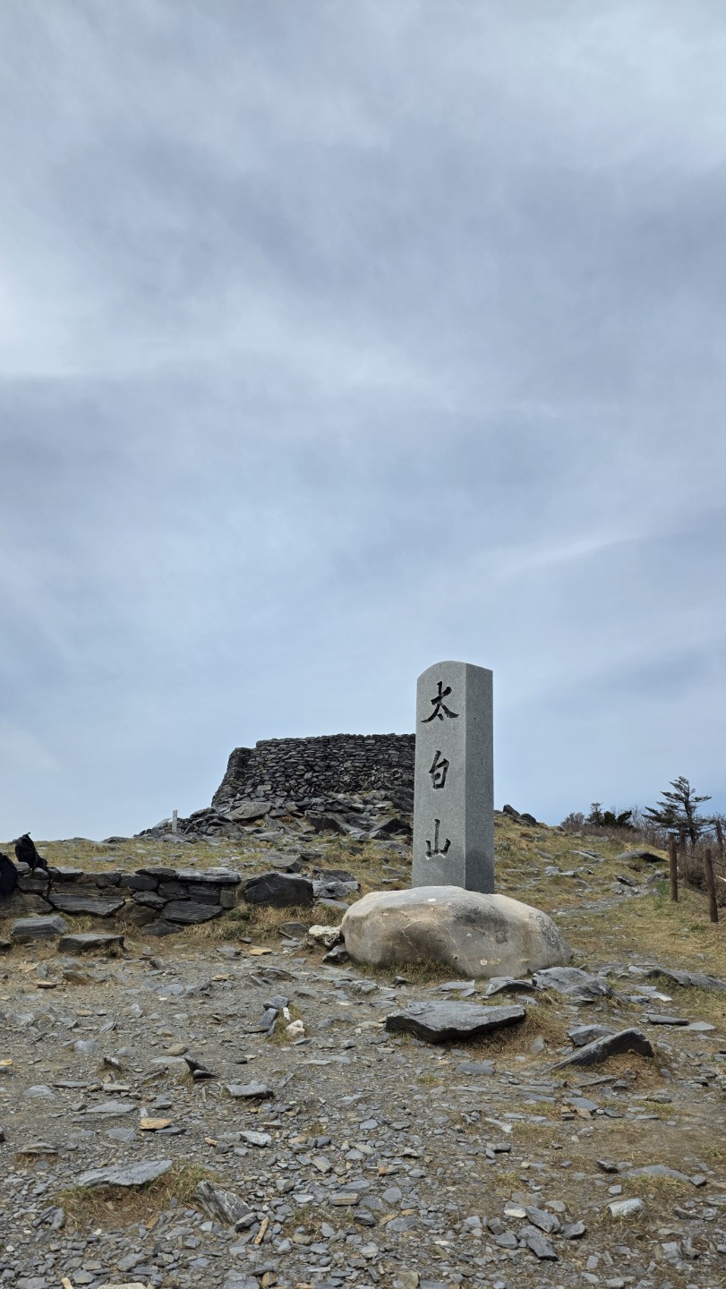 Post image 10