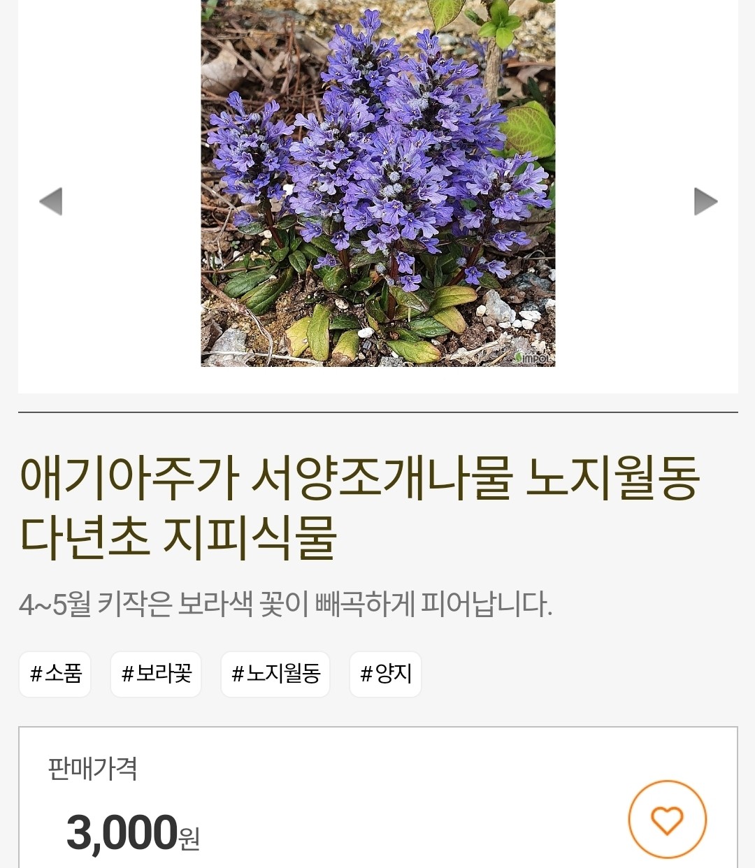 Post image 17