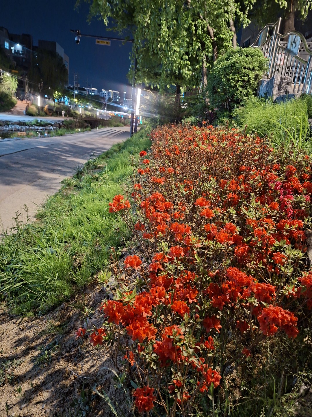 Post image 6