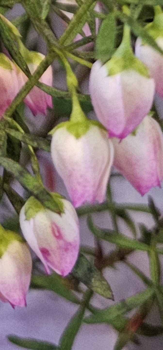 Post image 12