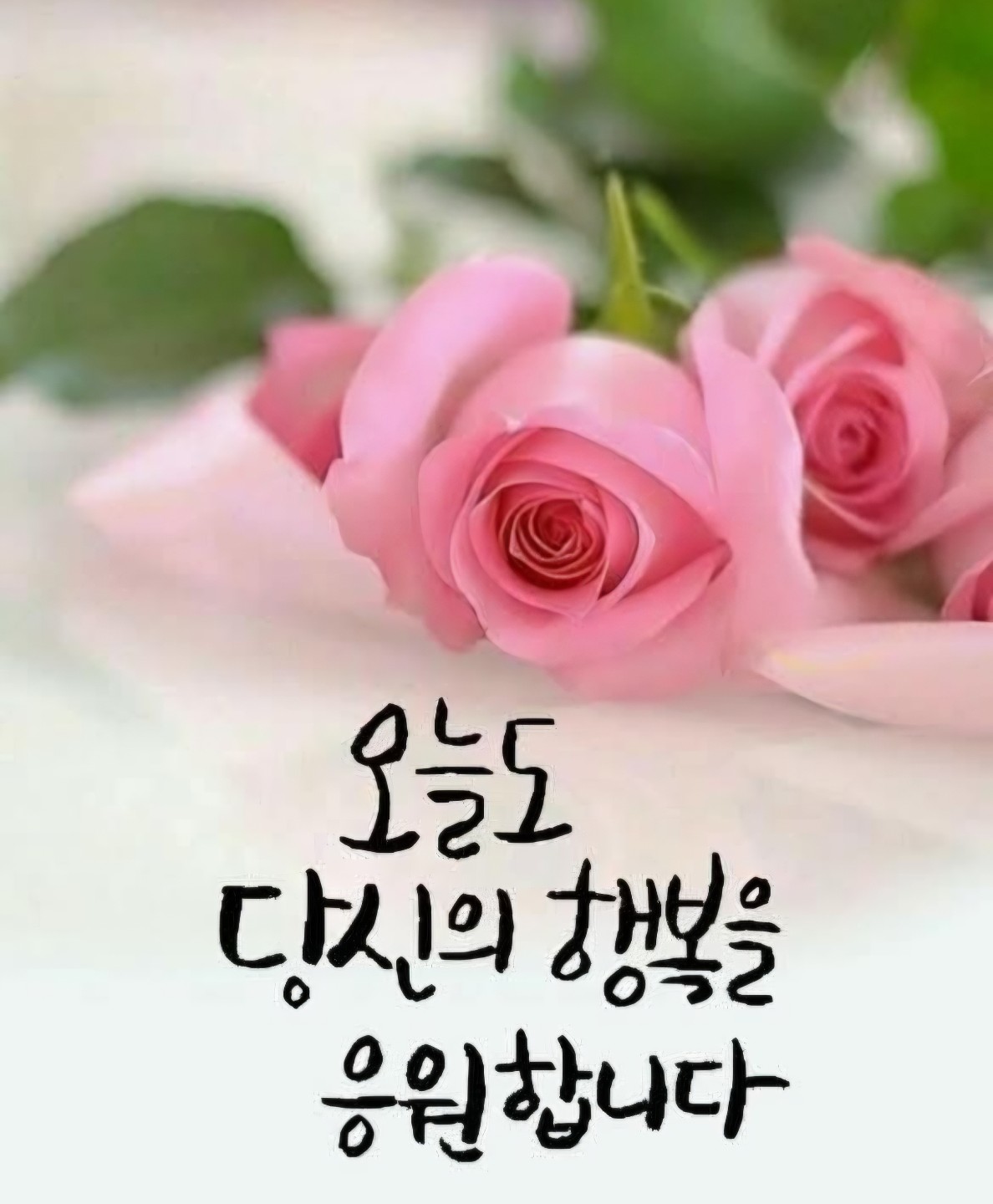 Post image 65