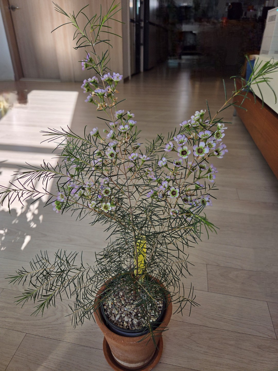 Post image 12