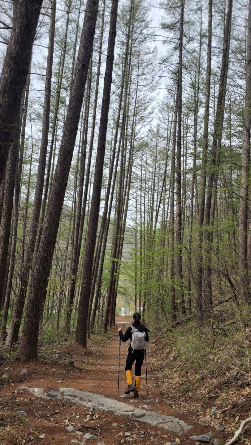 Post image 17