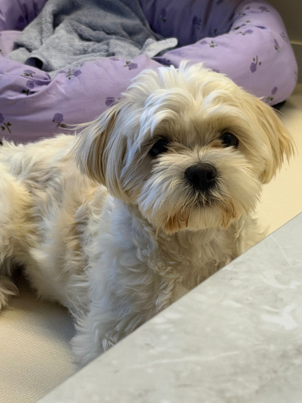 마장이의 일상을 공개!