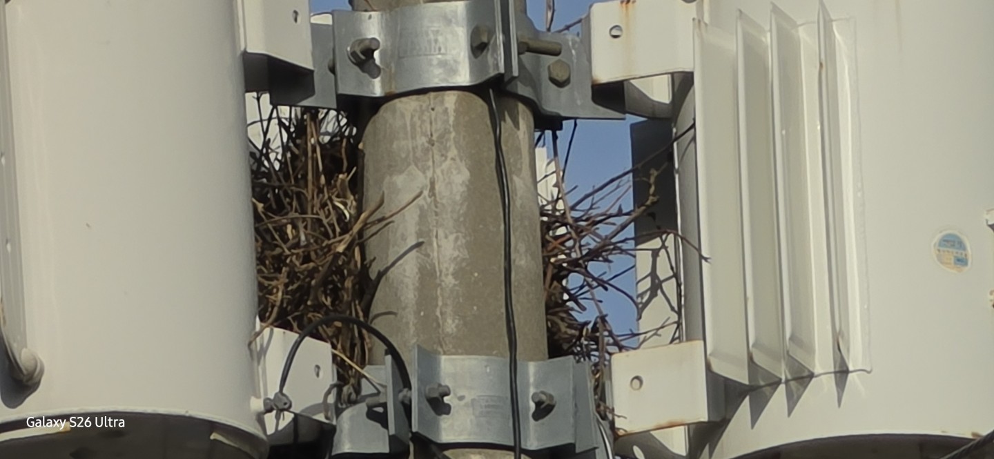 Post image 4