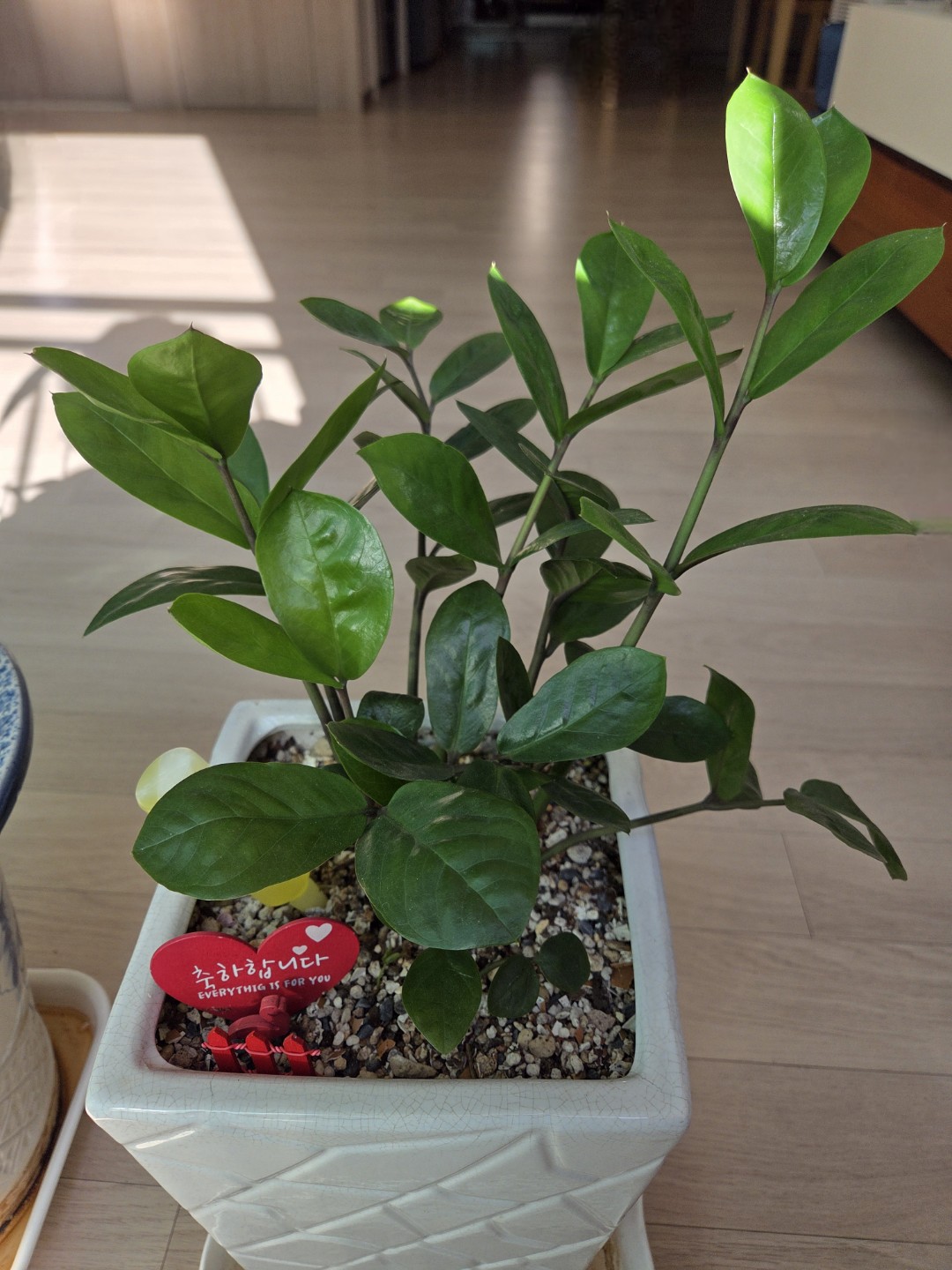Post image 18