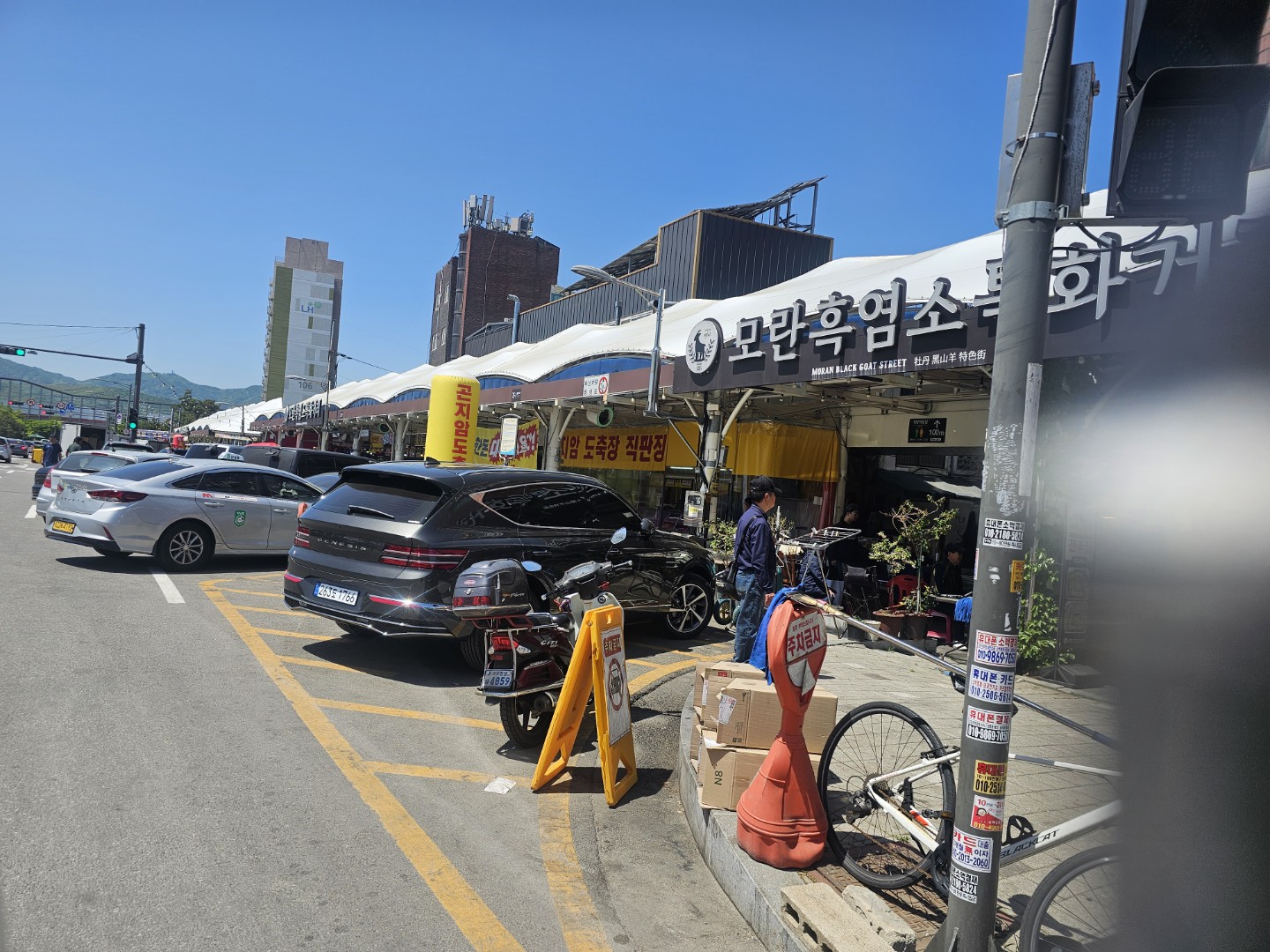 아~~오늘 모란장 ㅜㅜ