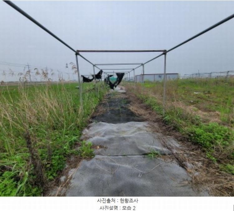 Post image 5