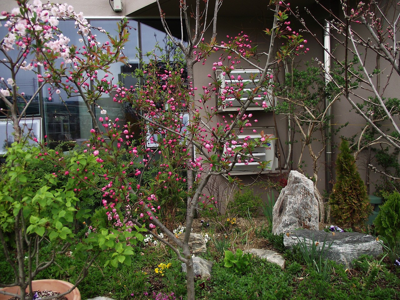 Post image 10