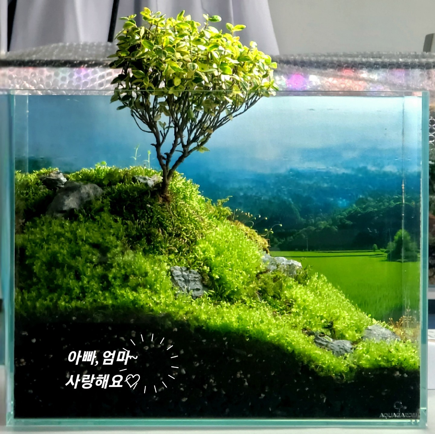 Post image 4