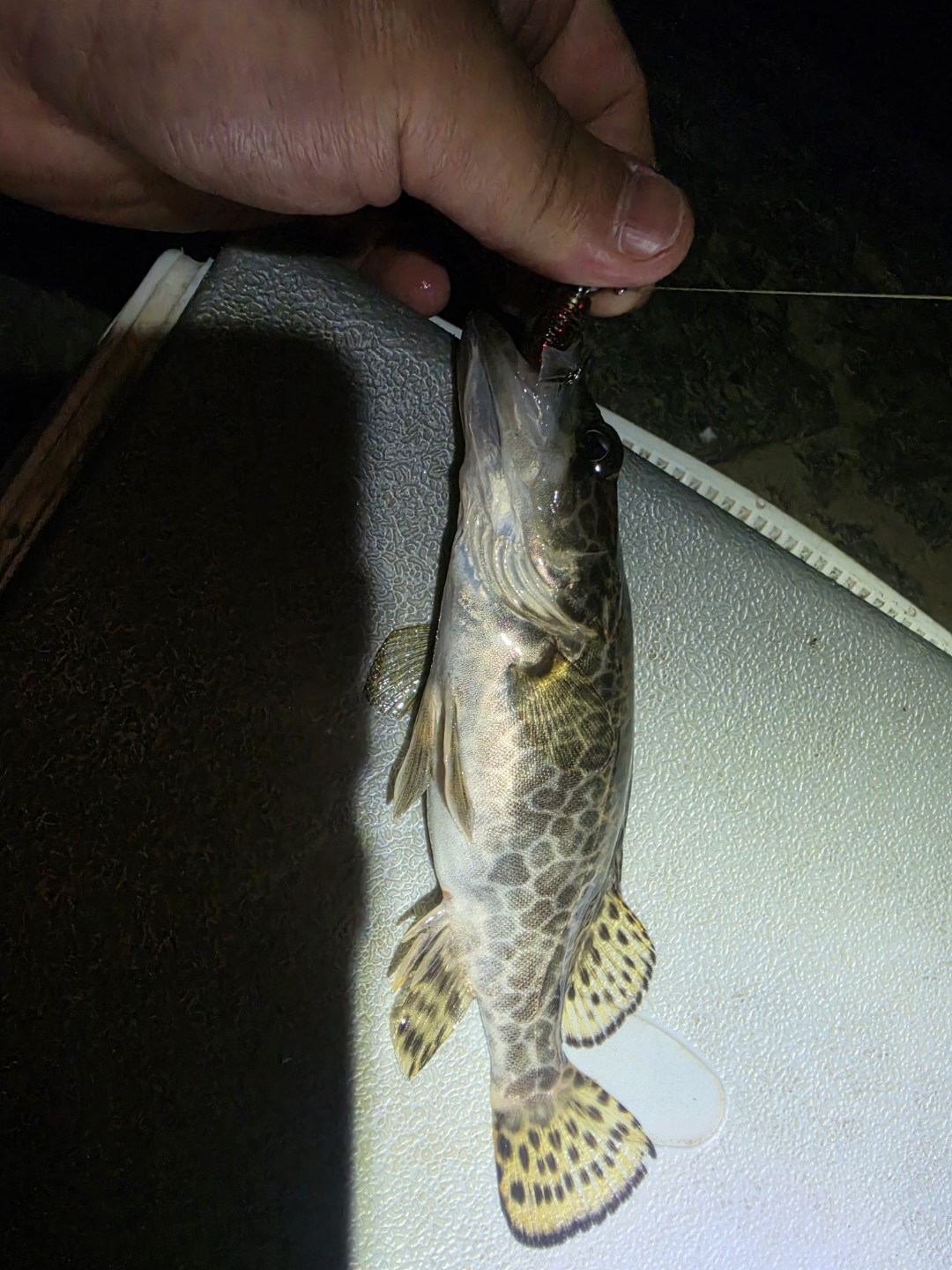 Post image 7
