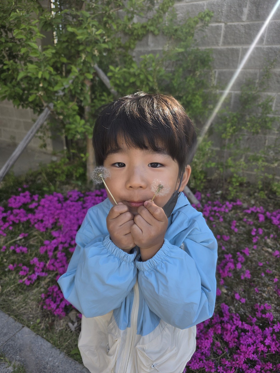 Post image 17