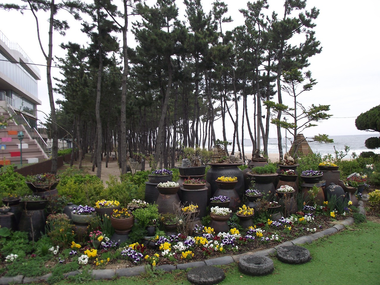 Post image 6