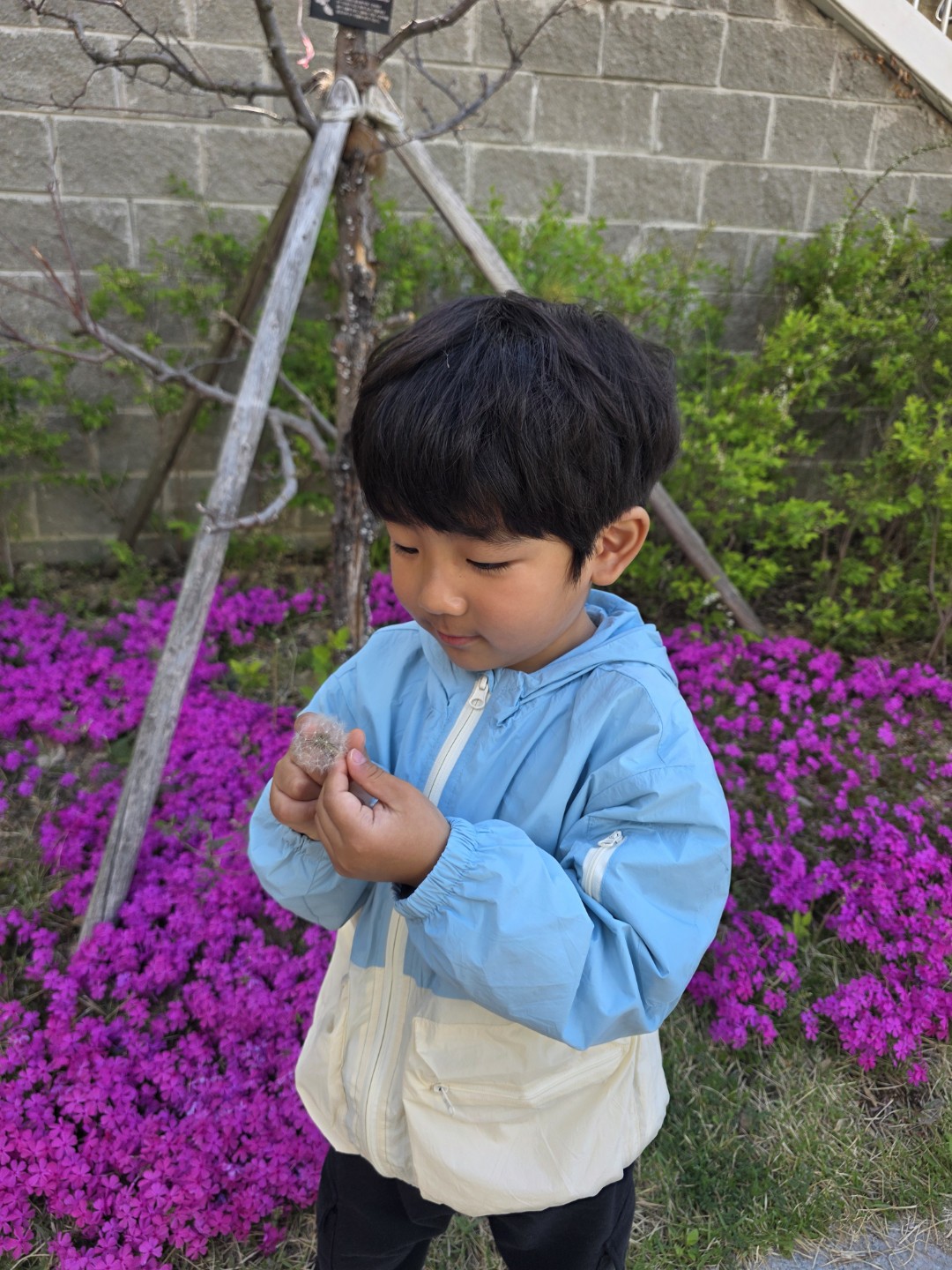 Post image 14