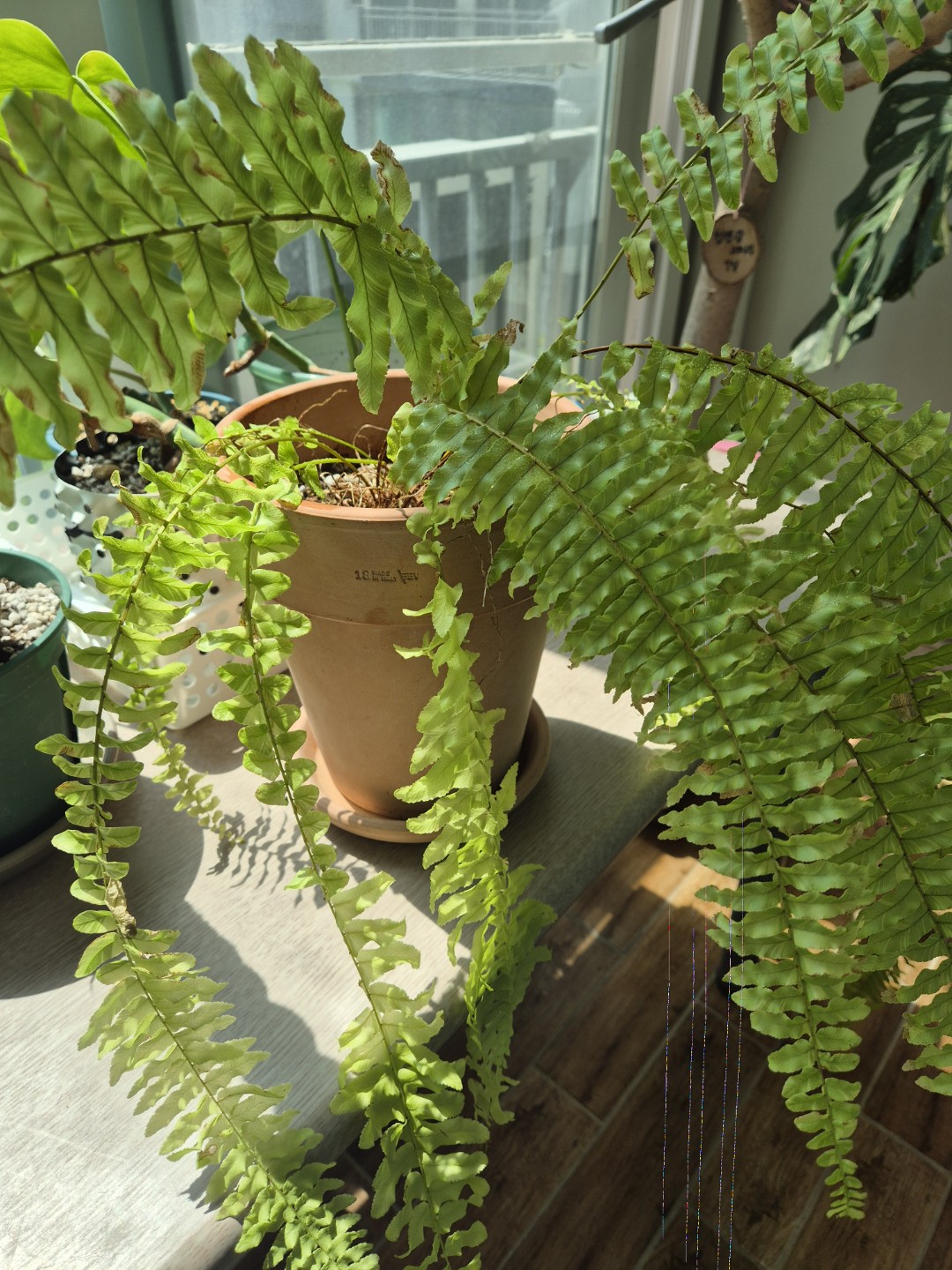 Post image 12