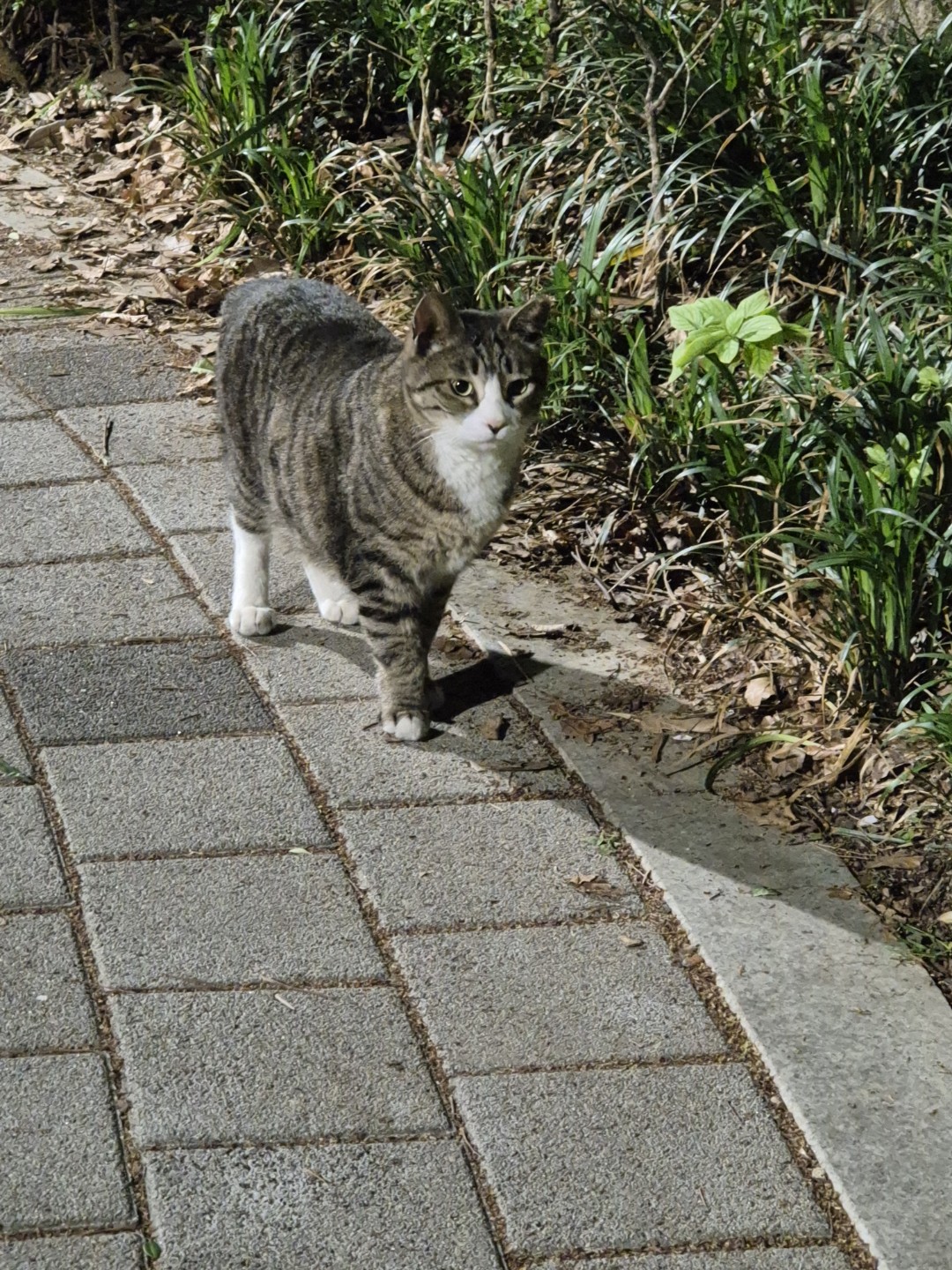 Post image 6