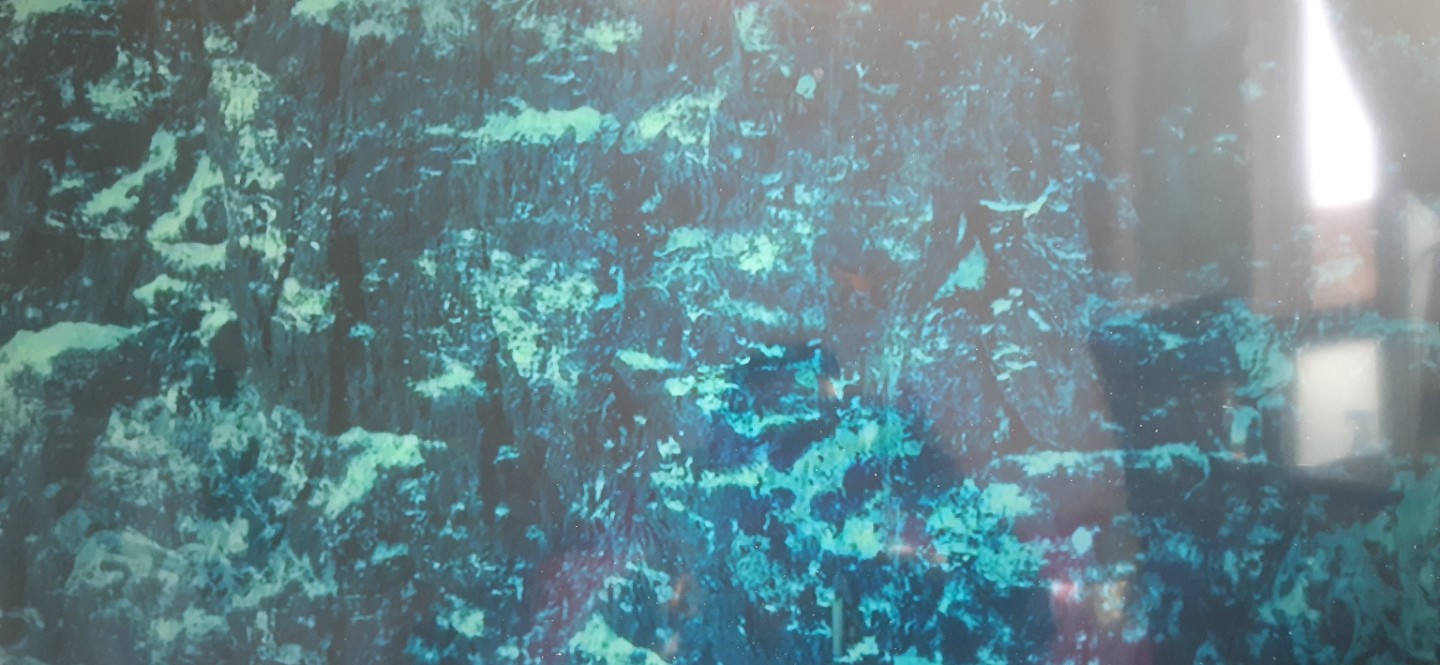 Post image 5