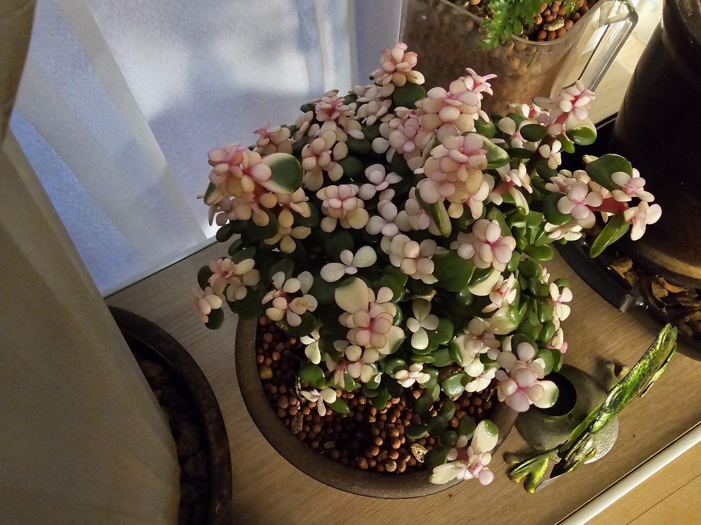Post image 2