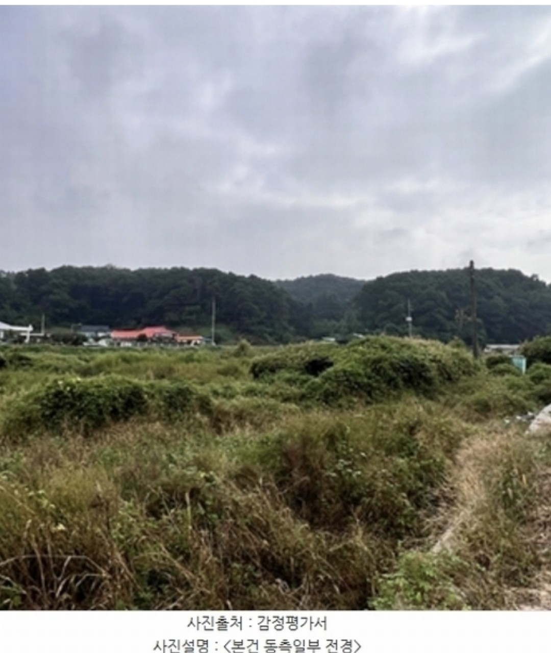 Post image 5