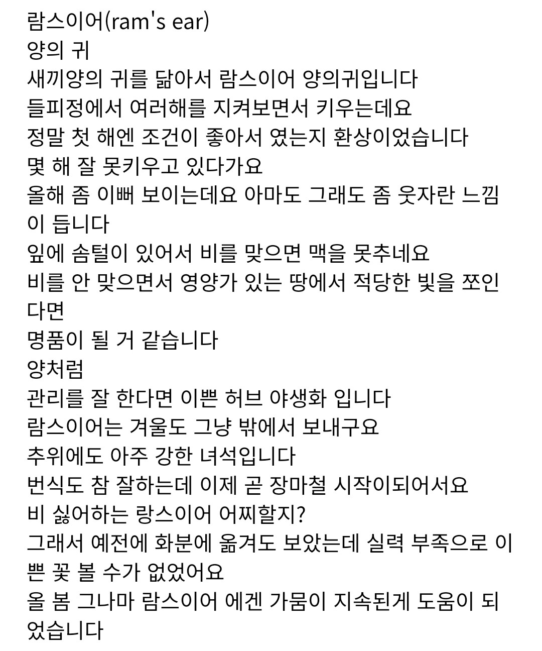 Post image 19