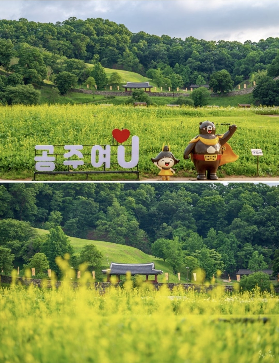 Post image 17