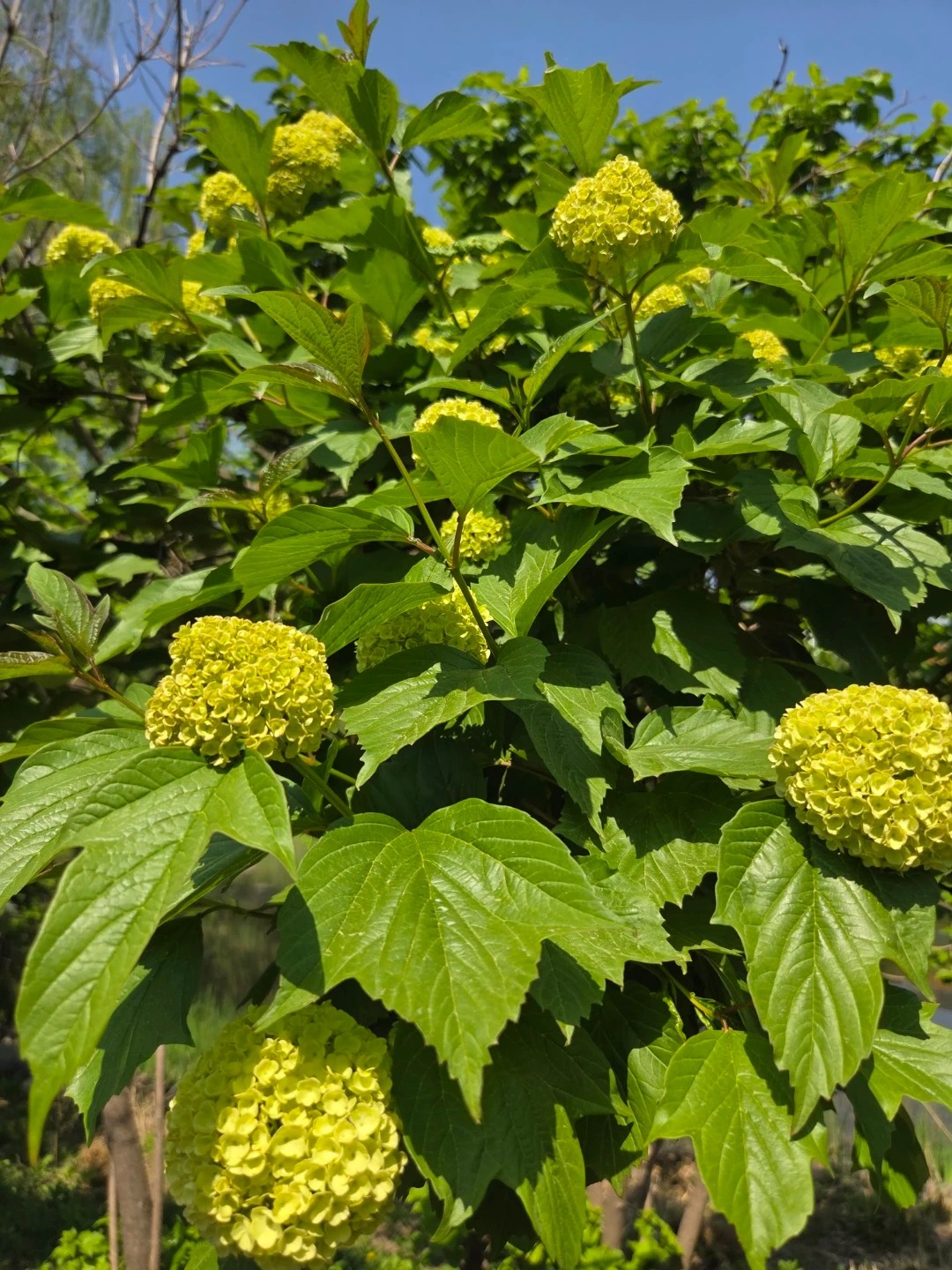 Post image 5