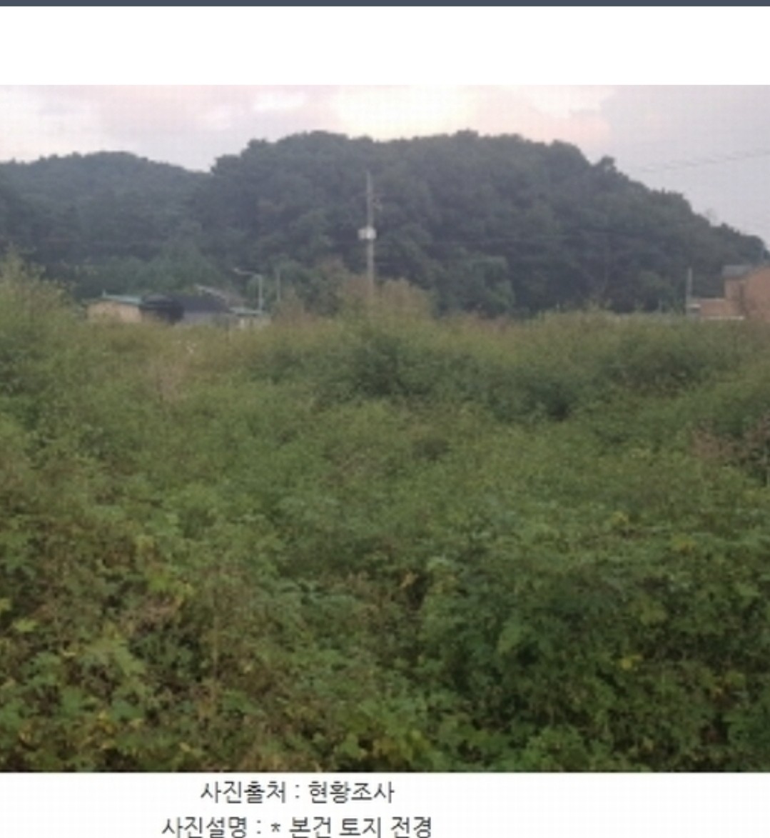 Post image 8