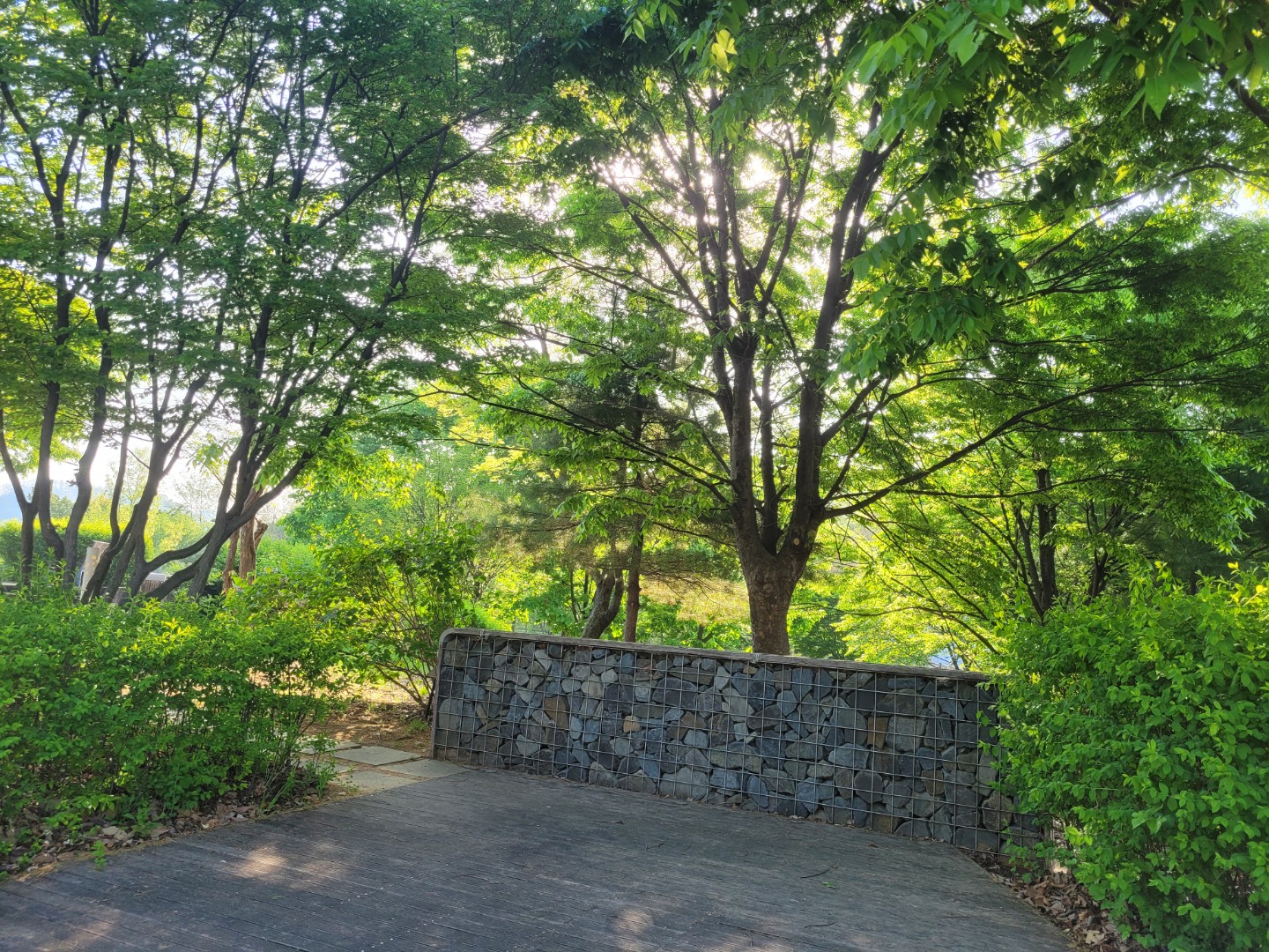 Post image 6