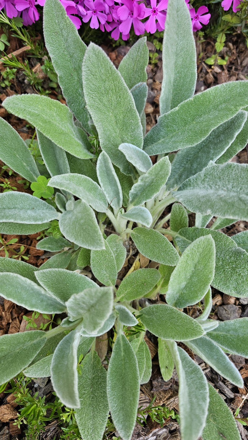 Post image 5