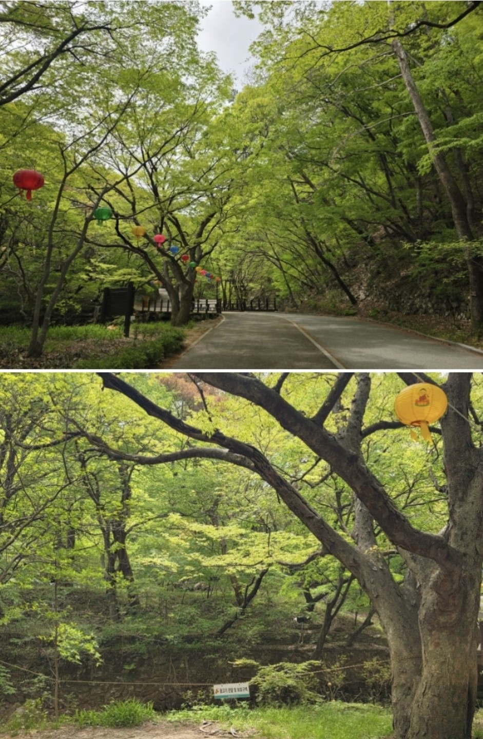 Post image 14