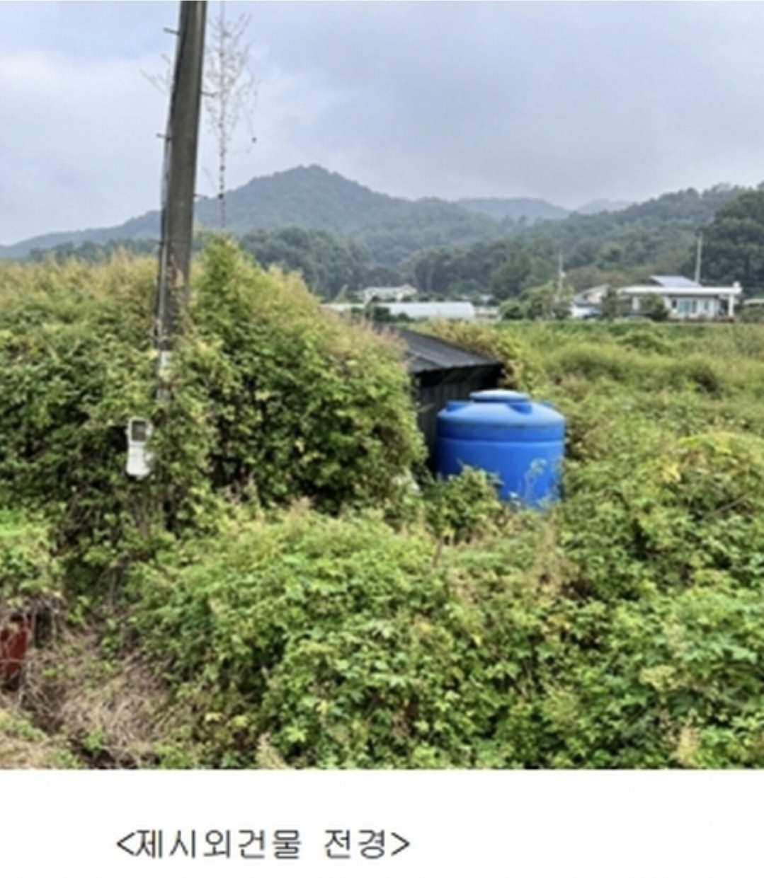 Post image 9