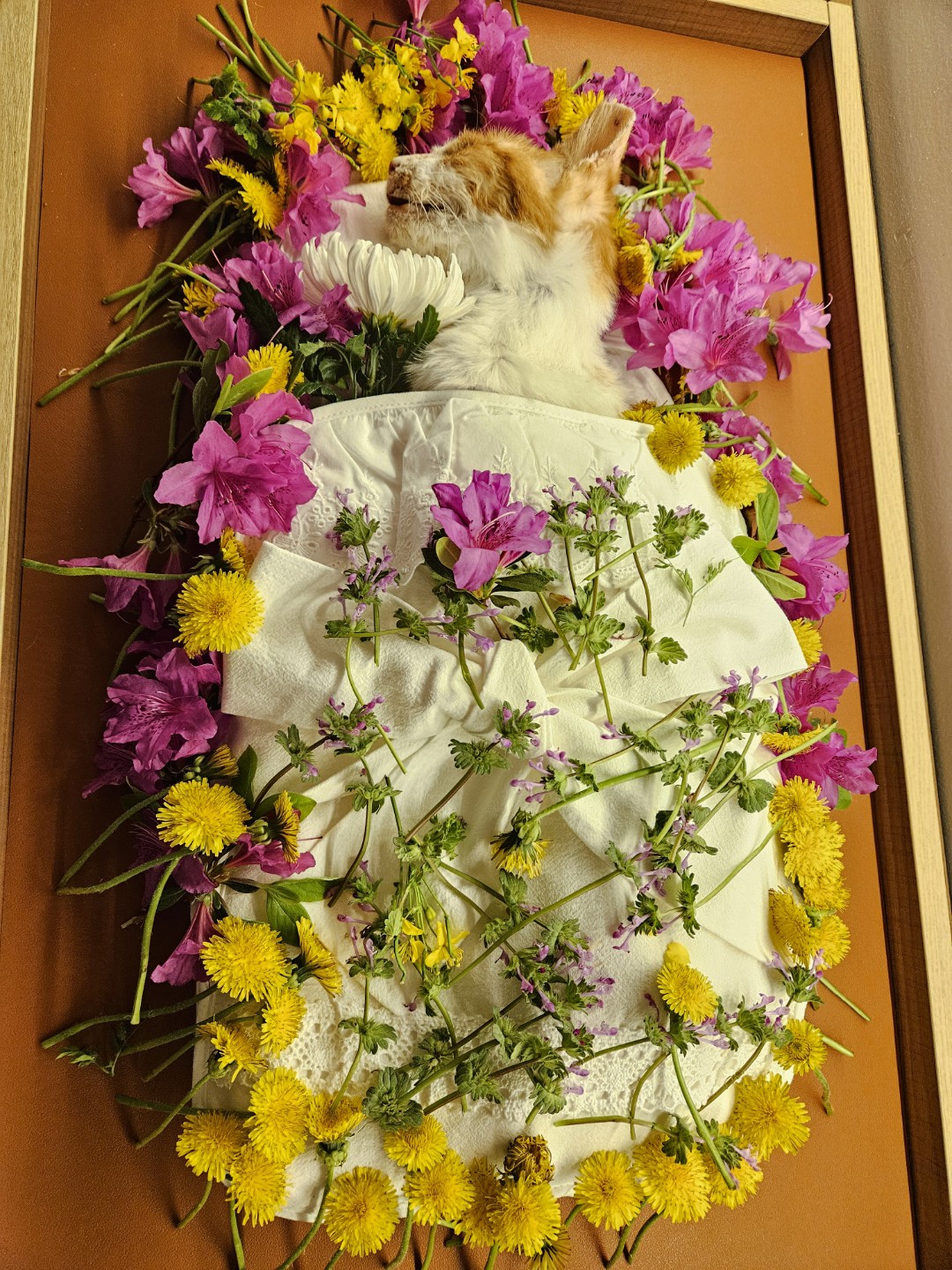 Post image 2