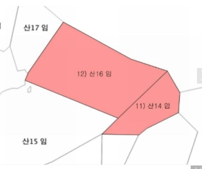 Post image 7