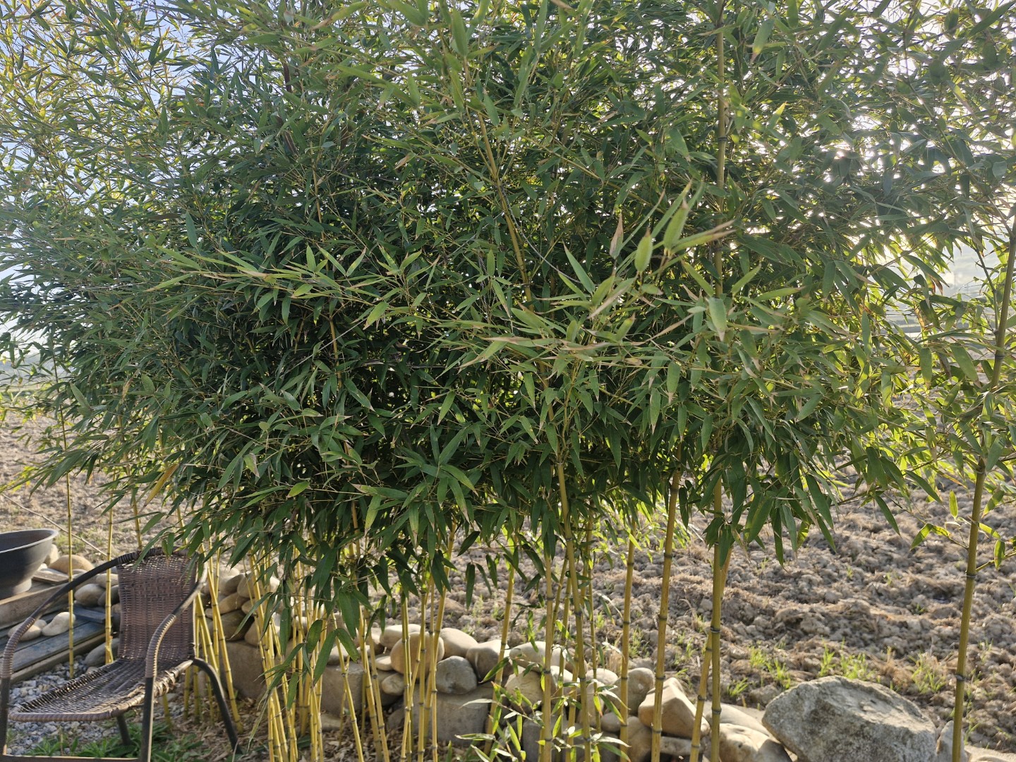 Post image 6