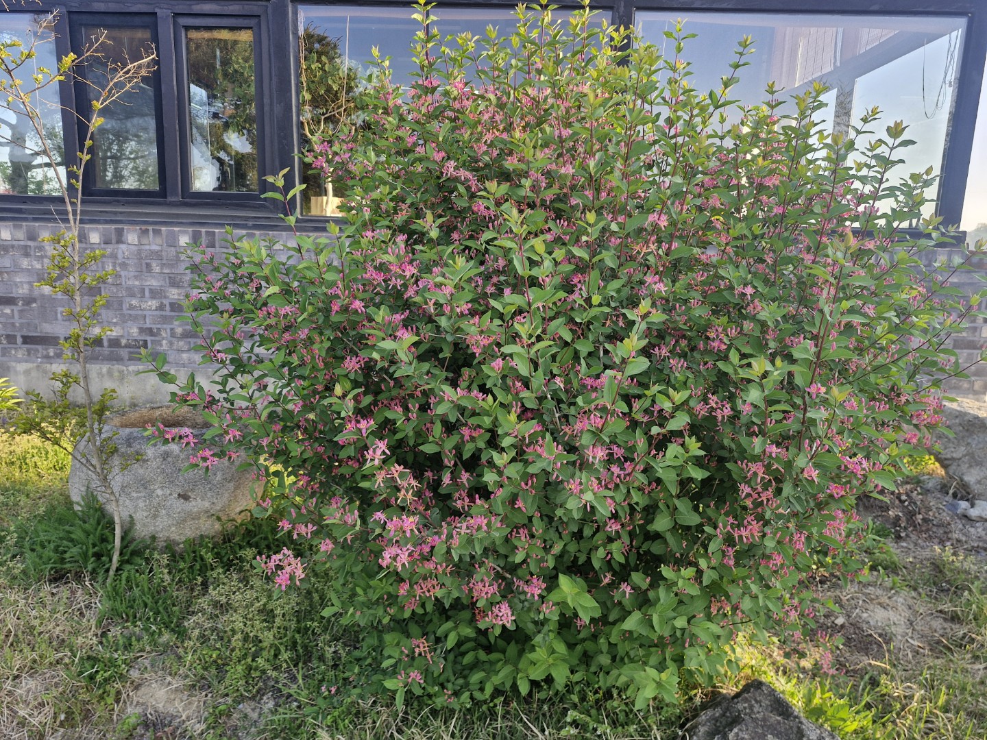 Post image 5